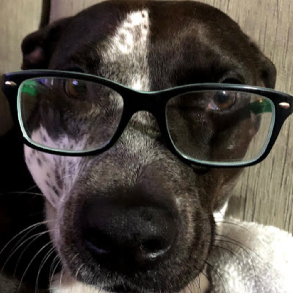 Meet your Posher, Belinda